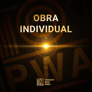 Obra individual